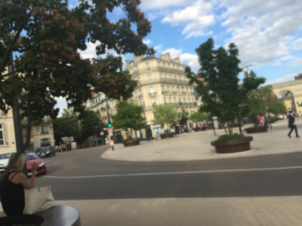 Ideal Art Deco Compris Un Parking Prive Securise Darcy Liberte Centre Gare-Ville ディジョン エクステリア 写真